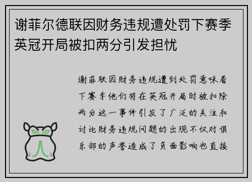 谢菲尔德联因财务违规遭处罚下赛季英冠开局被扣两分引发担忧